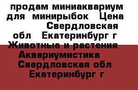 продам миниаквариум для  минирыбок › Цена ­ 1 500 - Свердловская обл., Екатеринбург г. Животные и растения » Аквариумистика   . Свердловская обл.,Екатеринбург г.